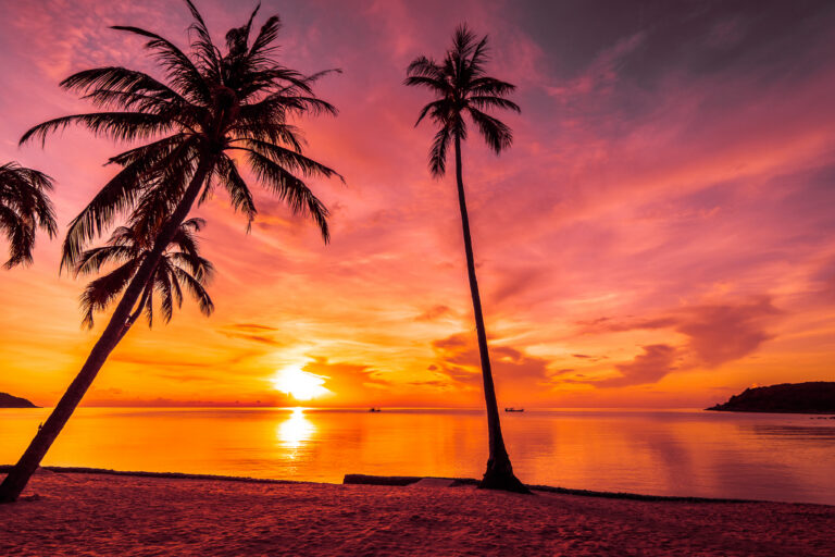 Endless Summer